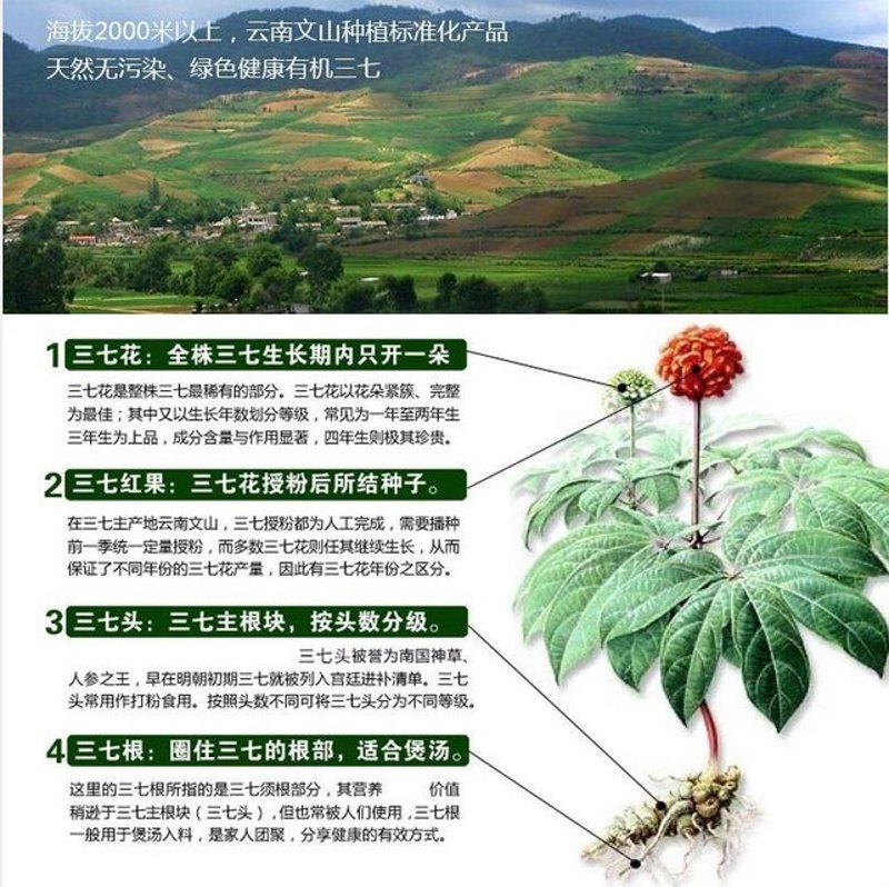 河南特产大全：品味中原大地的滋味